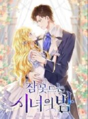 Sleepless Nights Of A Maid Manga(Novel)